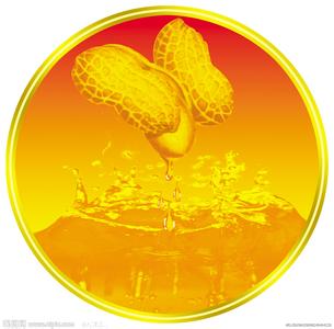 賣(mài)油翁家用榨油機(jī)榨出的花生油